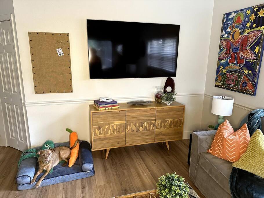 Color Casa 3b 2b Pool Holiday home Sarasota